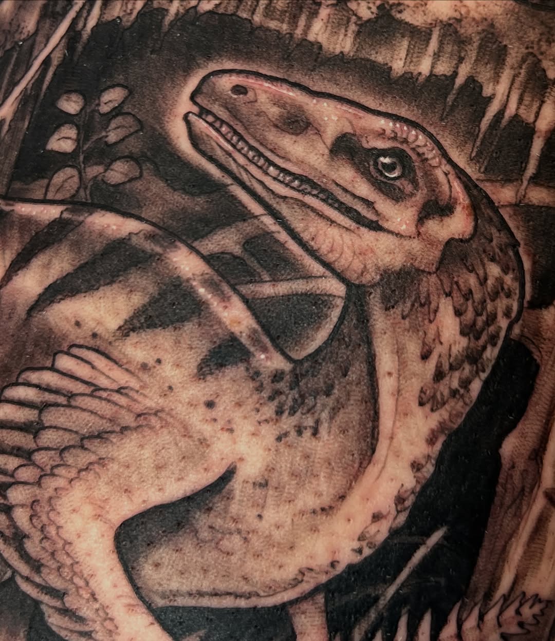 shawn_hebrank