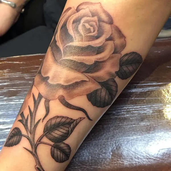Flower, Rose
