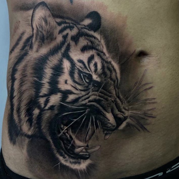 Tiger, 한국 호랑이, 중국 호랑이