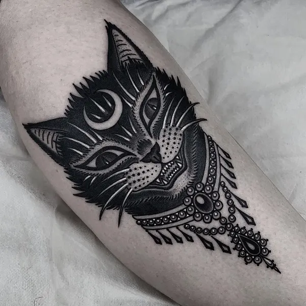 Animal