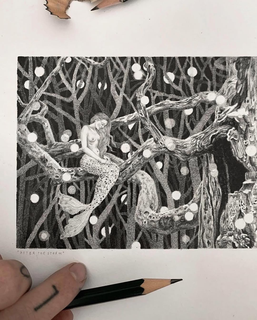 Nature