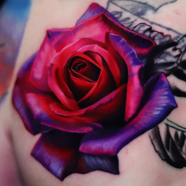 Flower, Rose