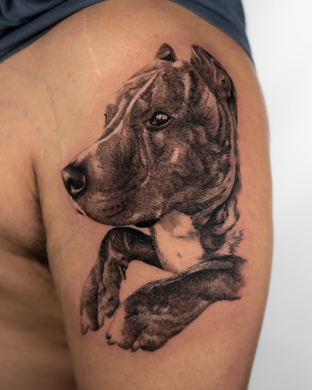 lewis.tattoo