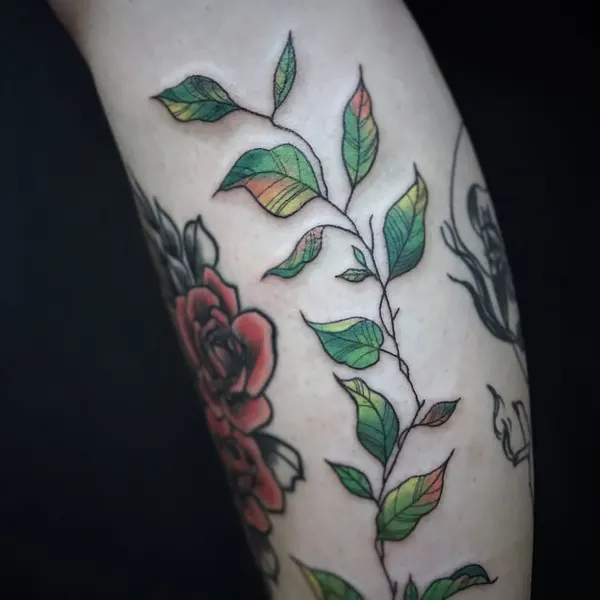 Flower, Rose