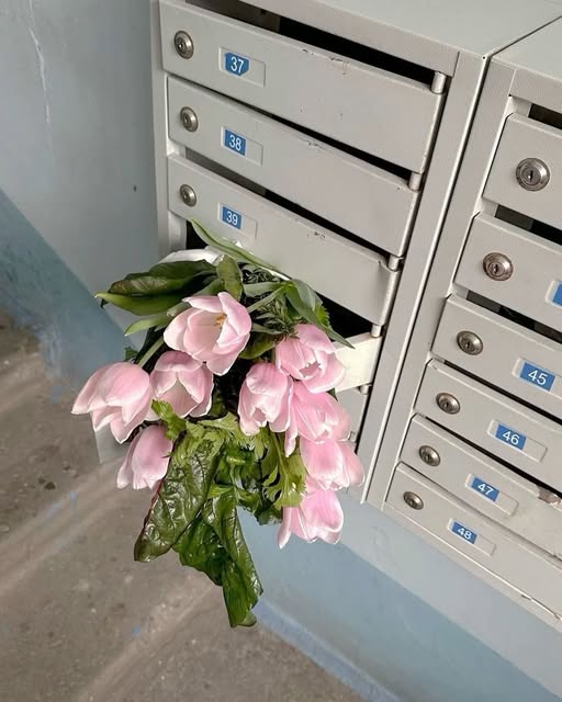 beyzatasertattoo