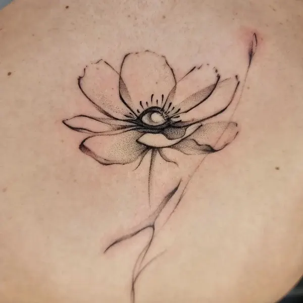 Flower, Nature, Rose