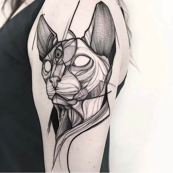 Animal
