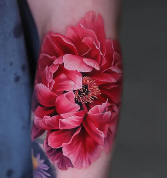 Flower, Rose