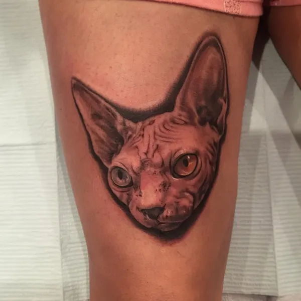 Animal