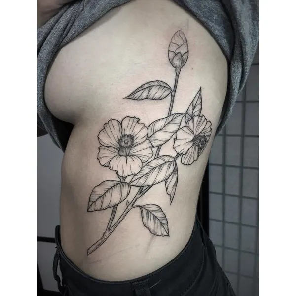 Flower, Rose, Nature