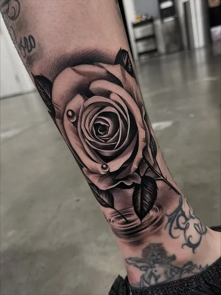Flower, Rose