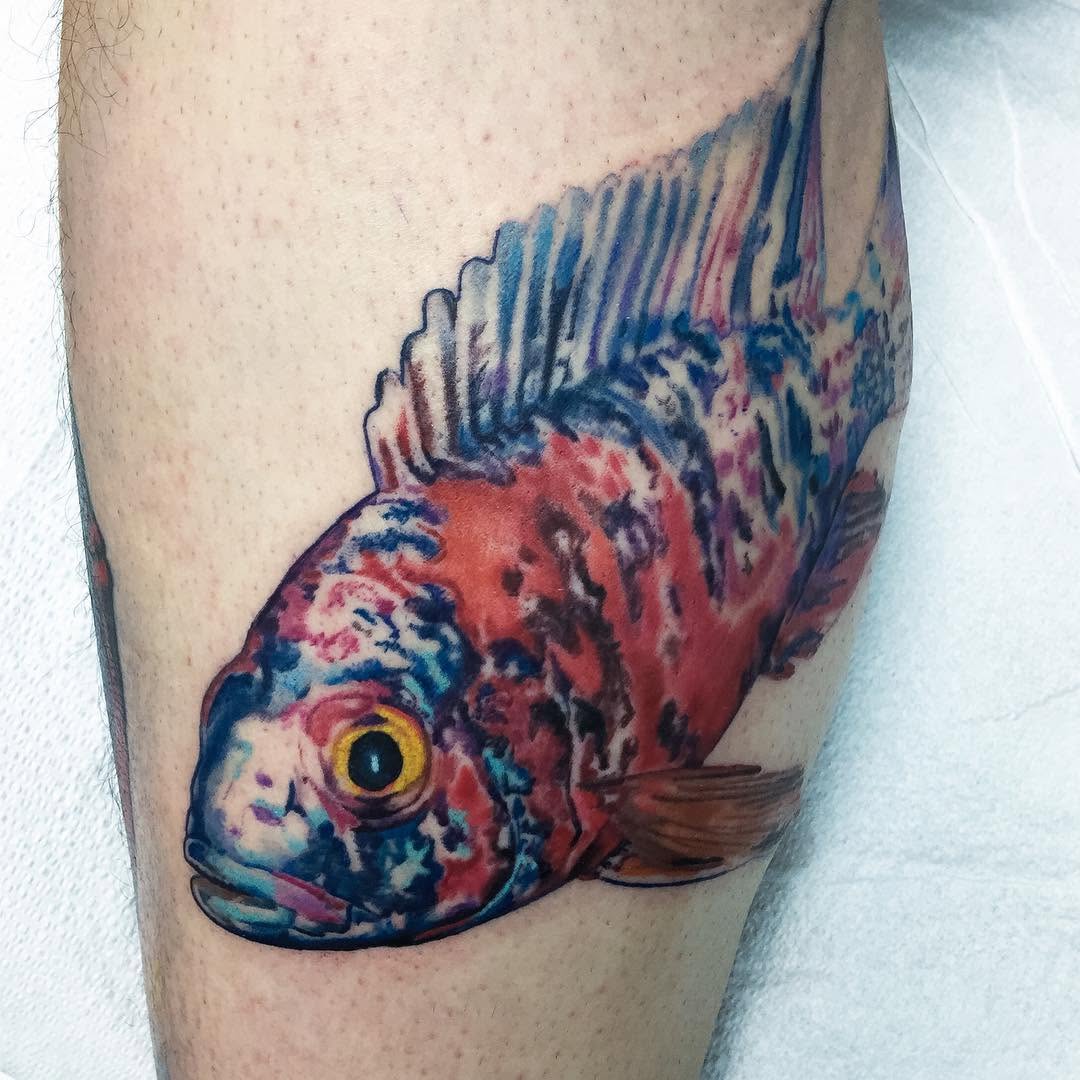 Animal