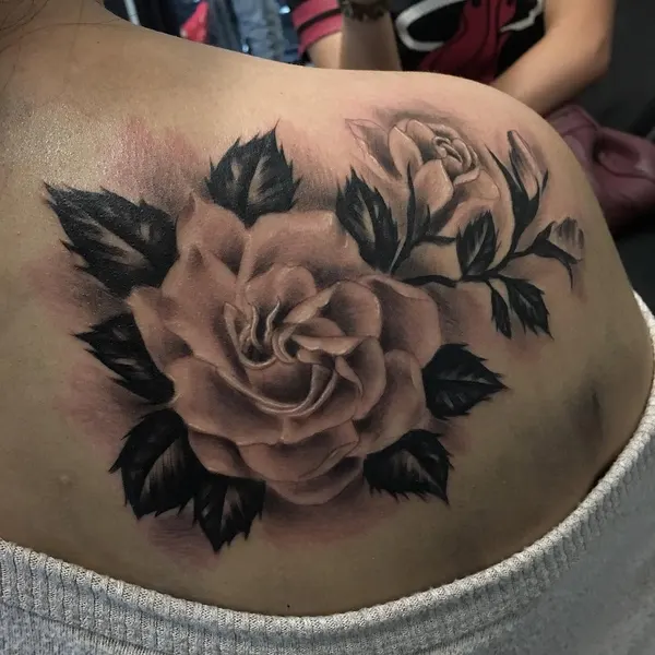 Rose, Flower