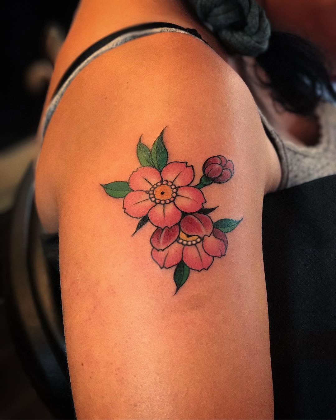 Flower, Rose, Nature