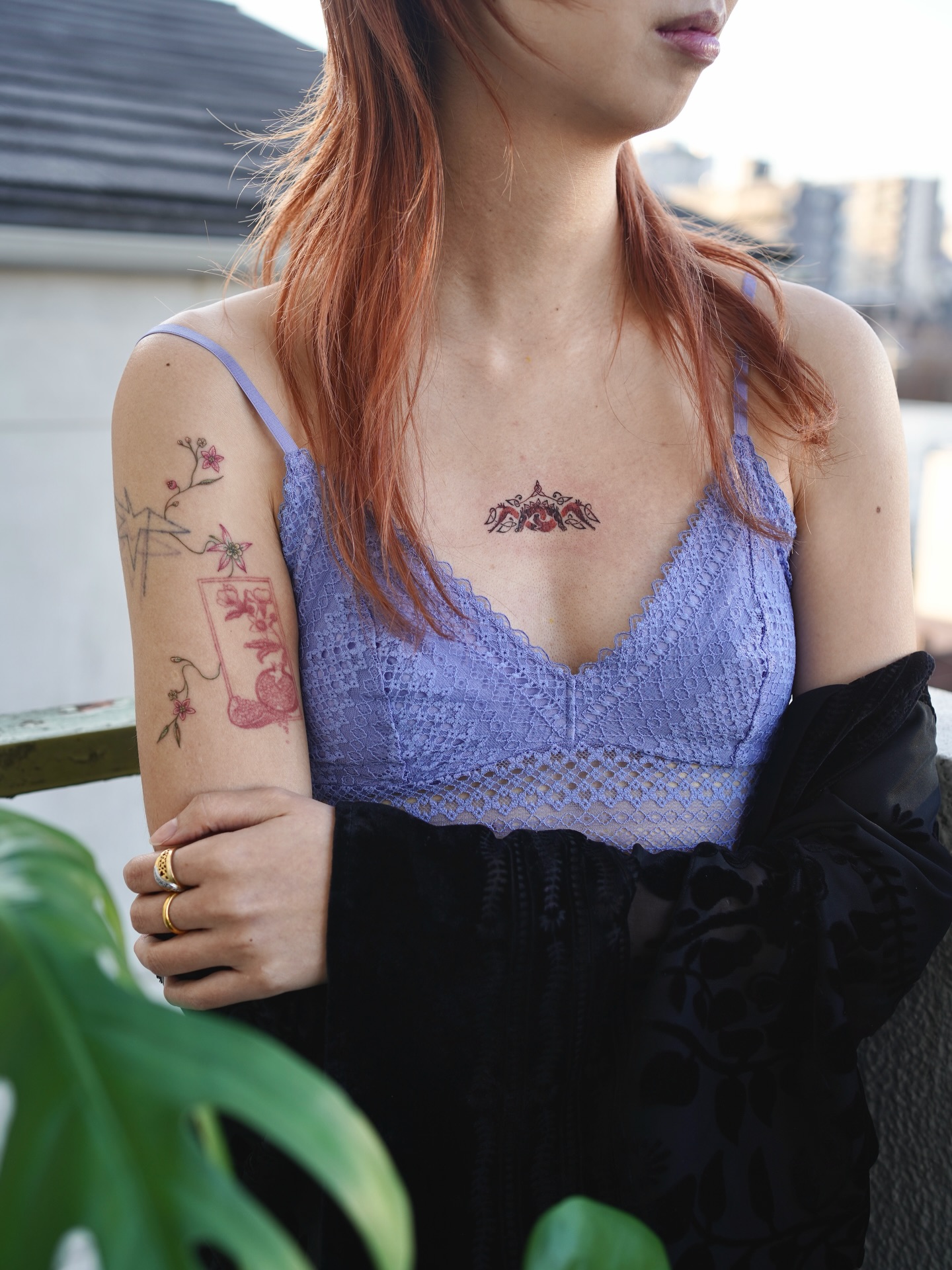 Flower, Rose