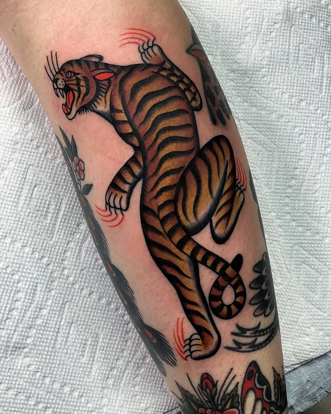 Tiger