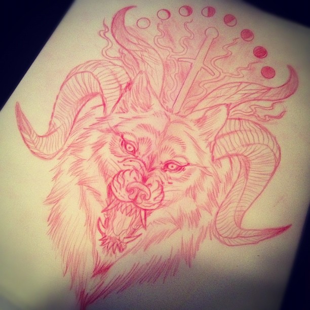 Animal, Tiger