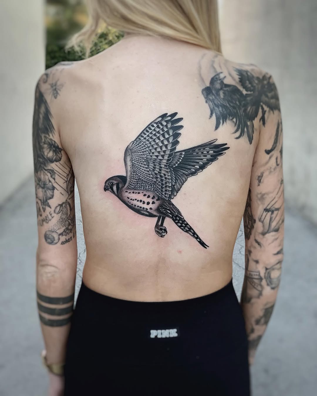 Animal