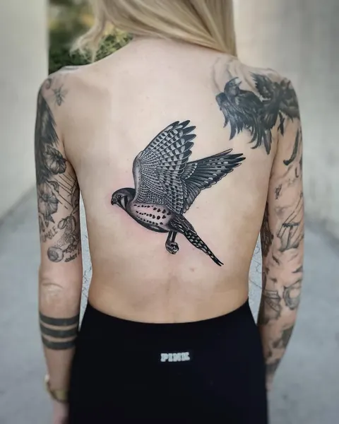 Animal
