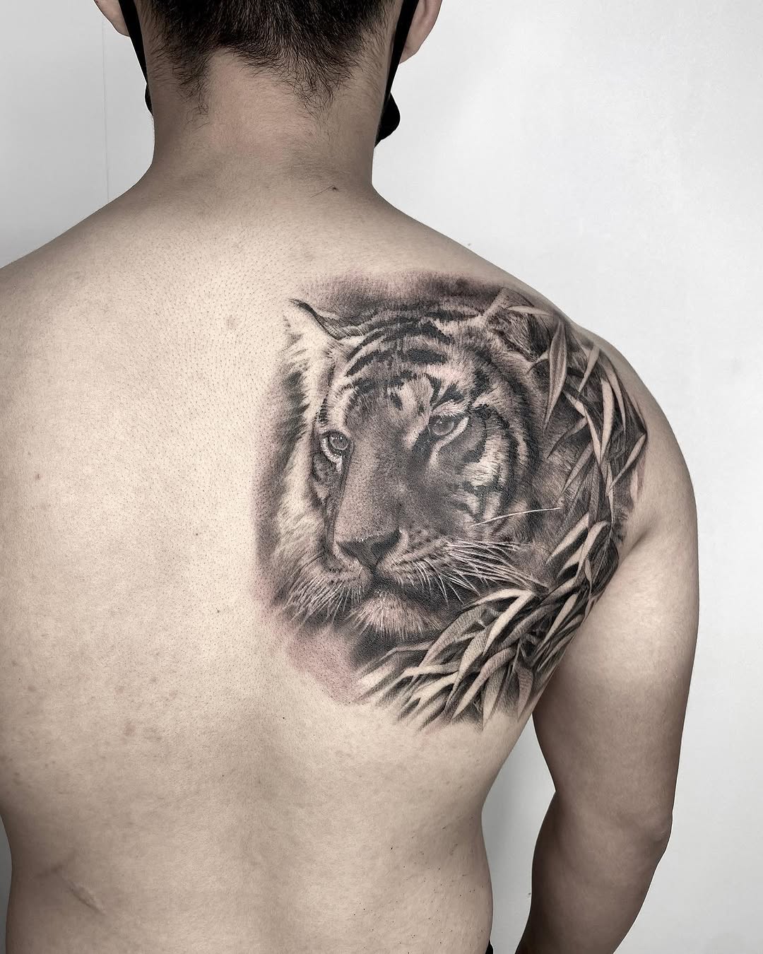 Tiger, 중국 호랑이, 한국 호랑이