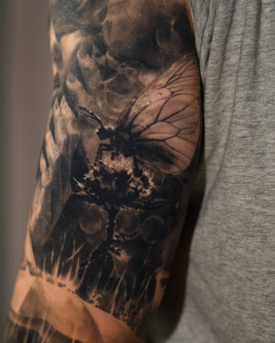 carlostorresart