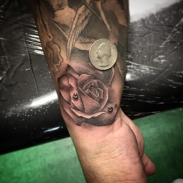 Flower, Rose
