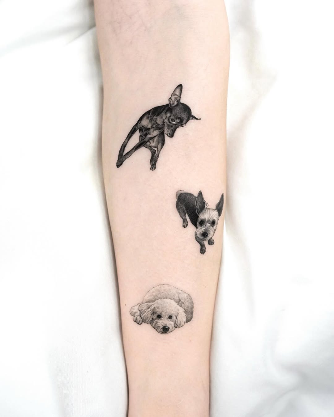 dorok.tattoo