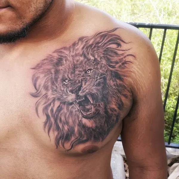 Tiger, 사자