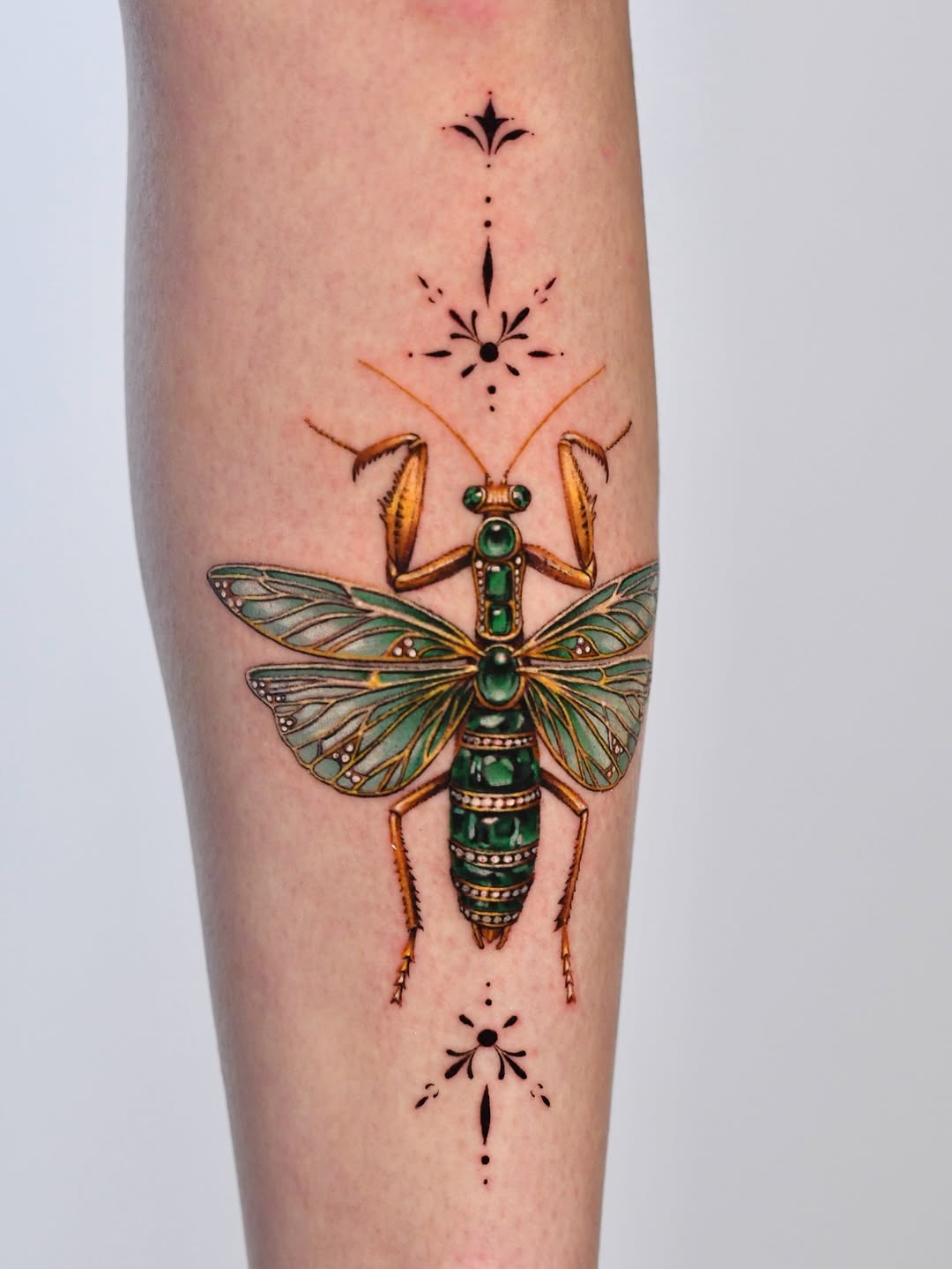 dm.tatts