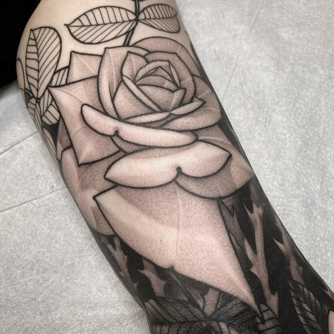 Flower, Rose