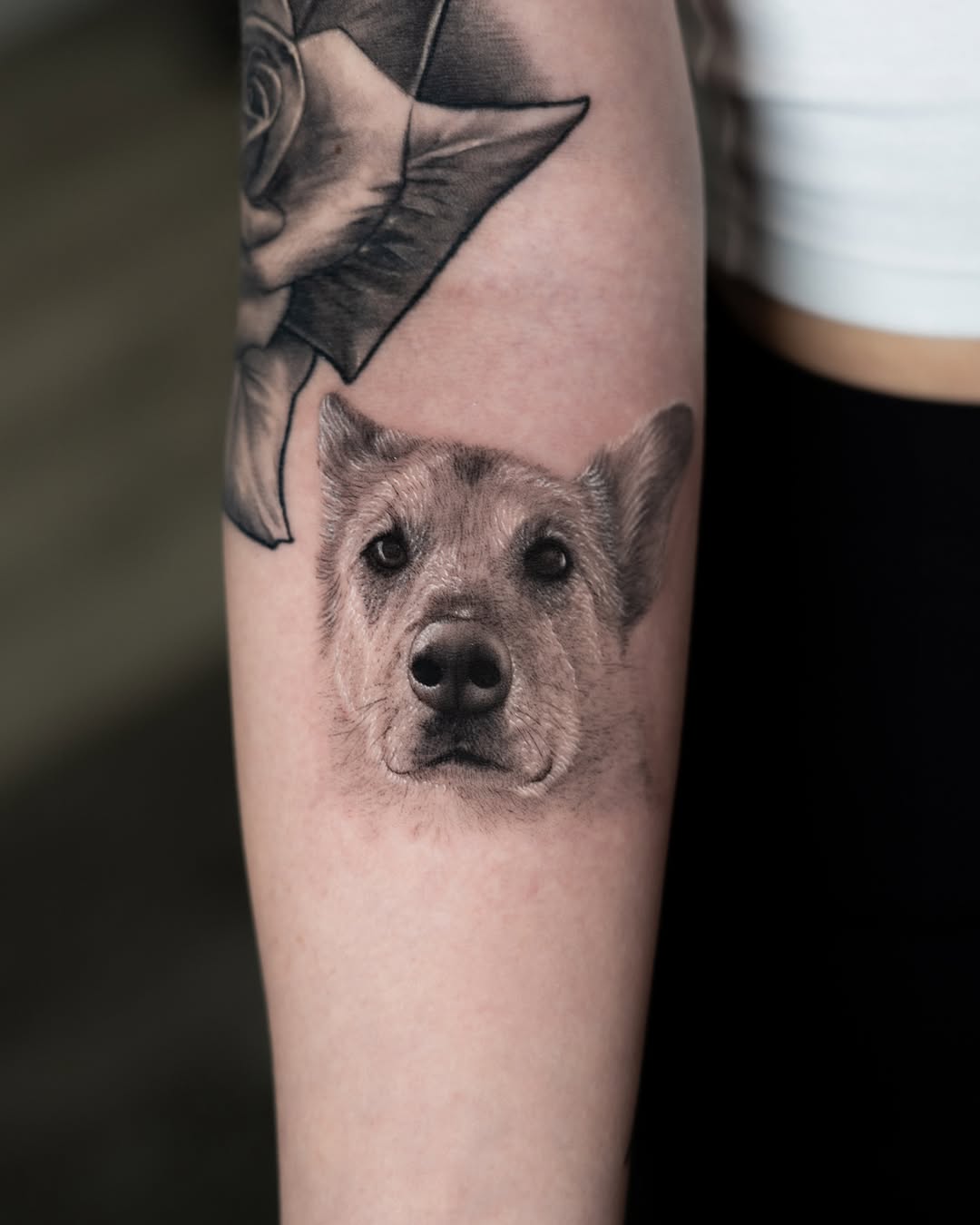 lewis.tattoo