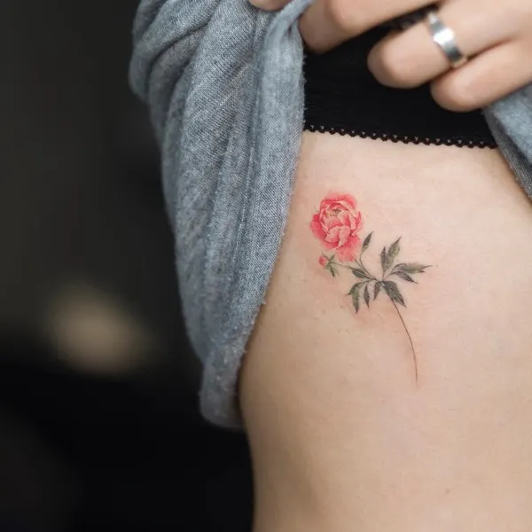 Flower, Rose