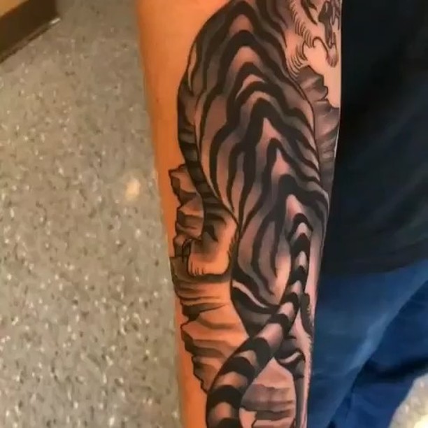 Tiger