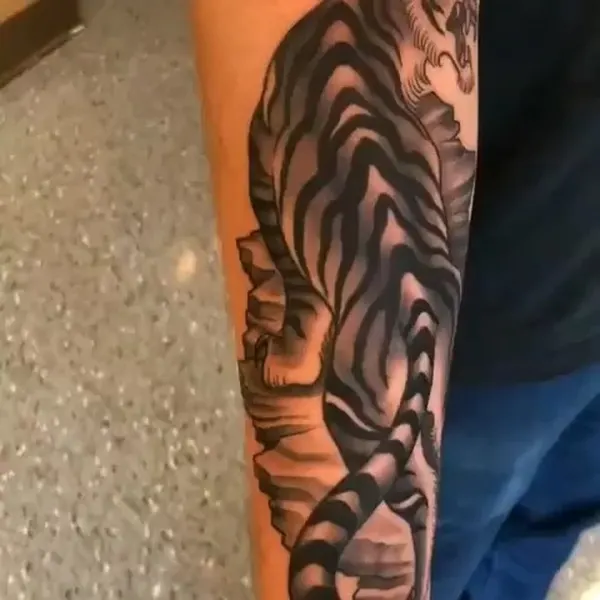 Tiger
