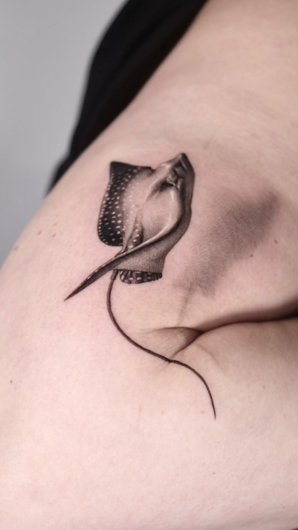 40.tatt