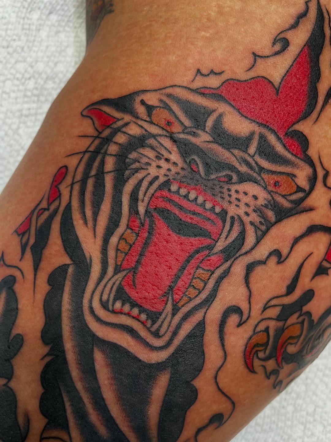 Tiger, Animal