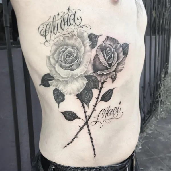 Flower, Rose, Nature