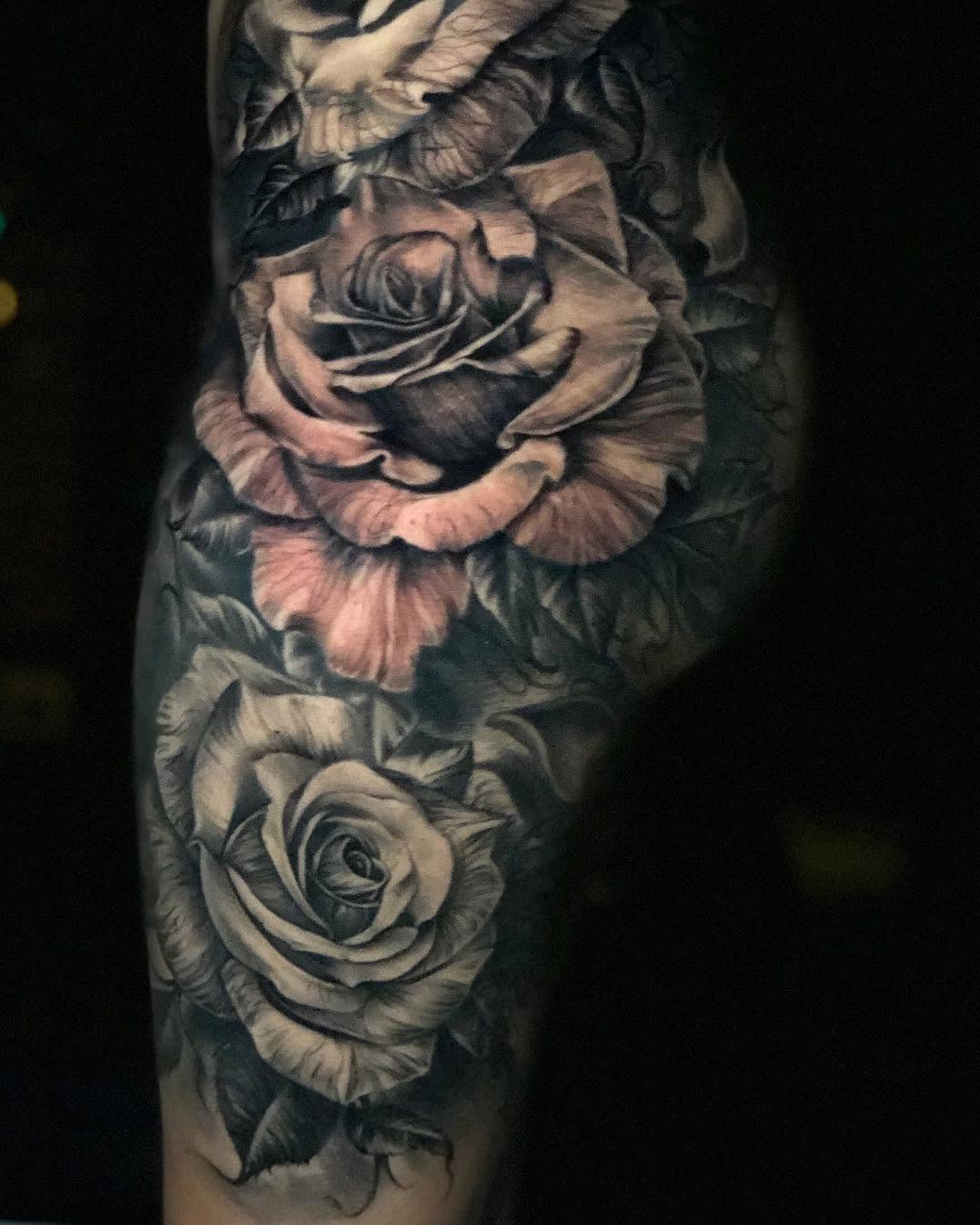 Flower, Rose