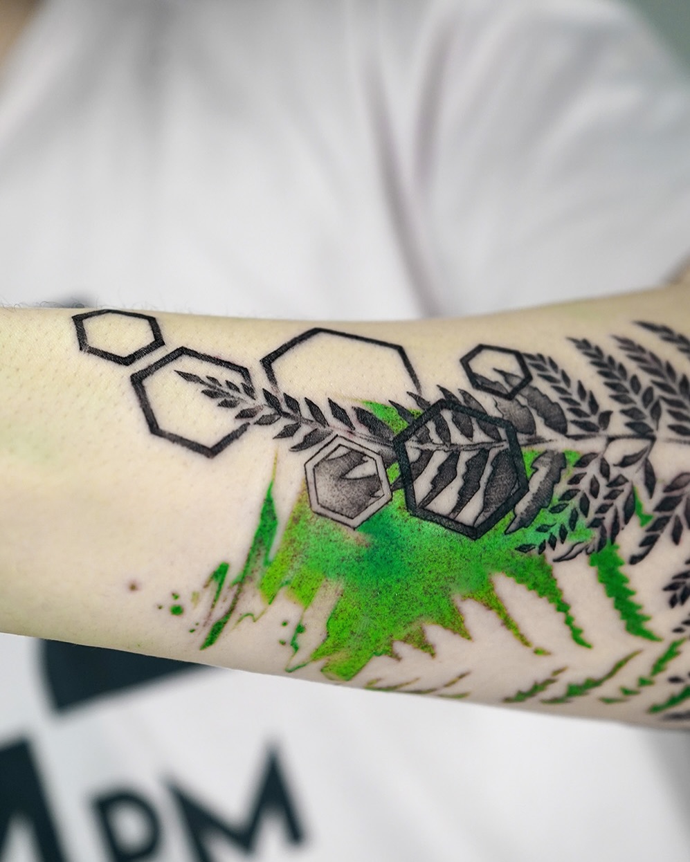Flower, 고사리