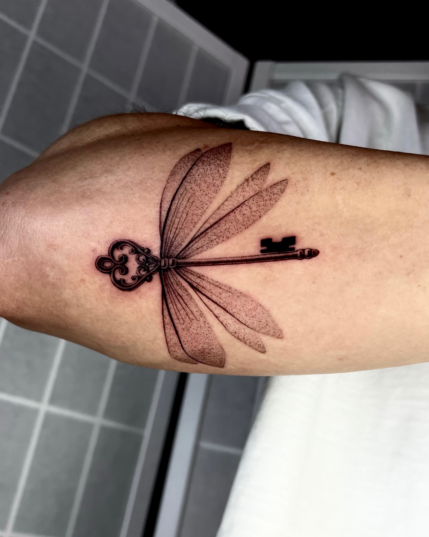 Animal, 잠자리, 매미, Nature