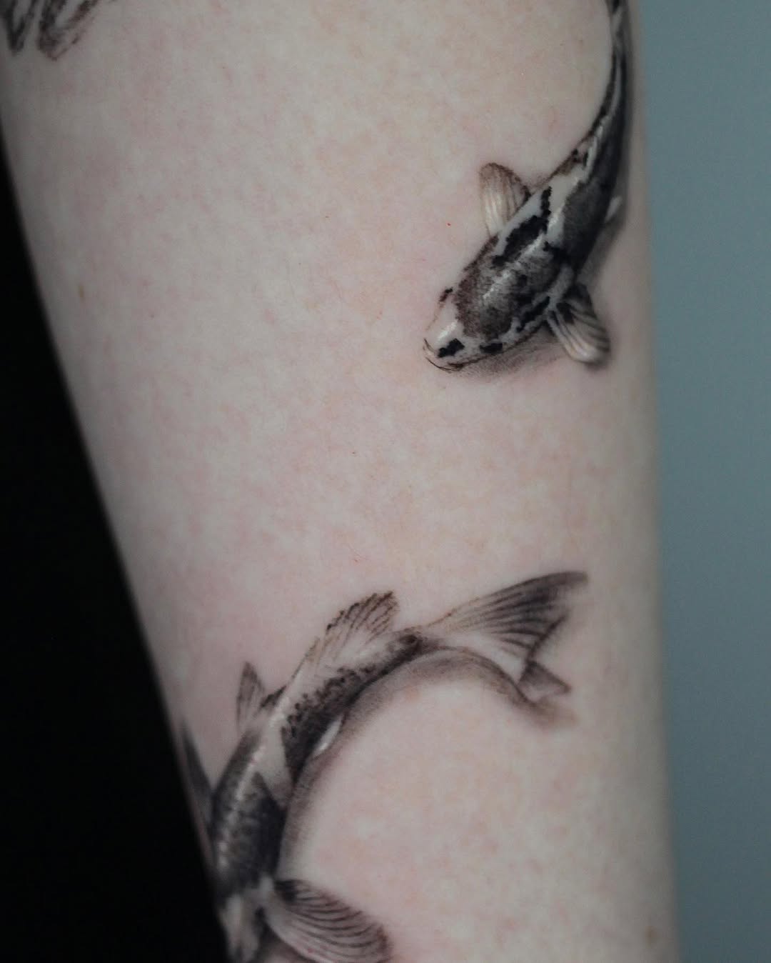 40.tatt