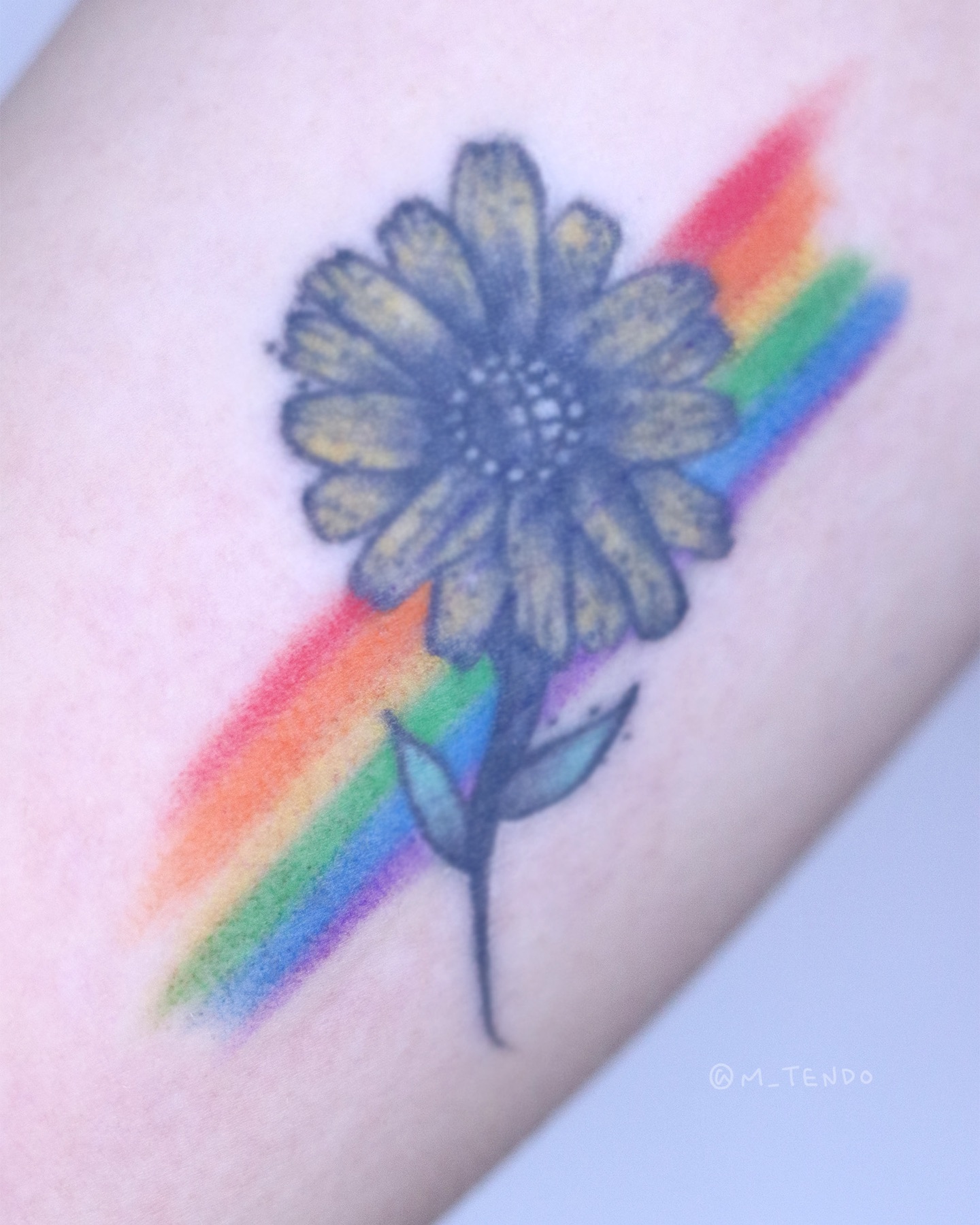 Flower, 데이지