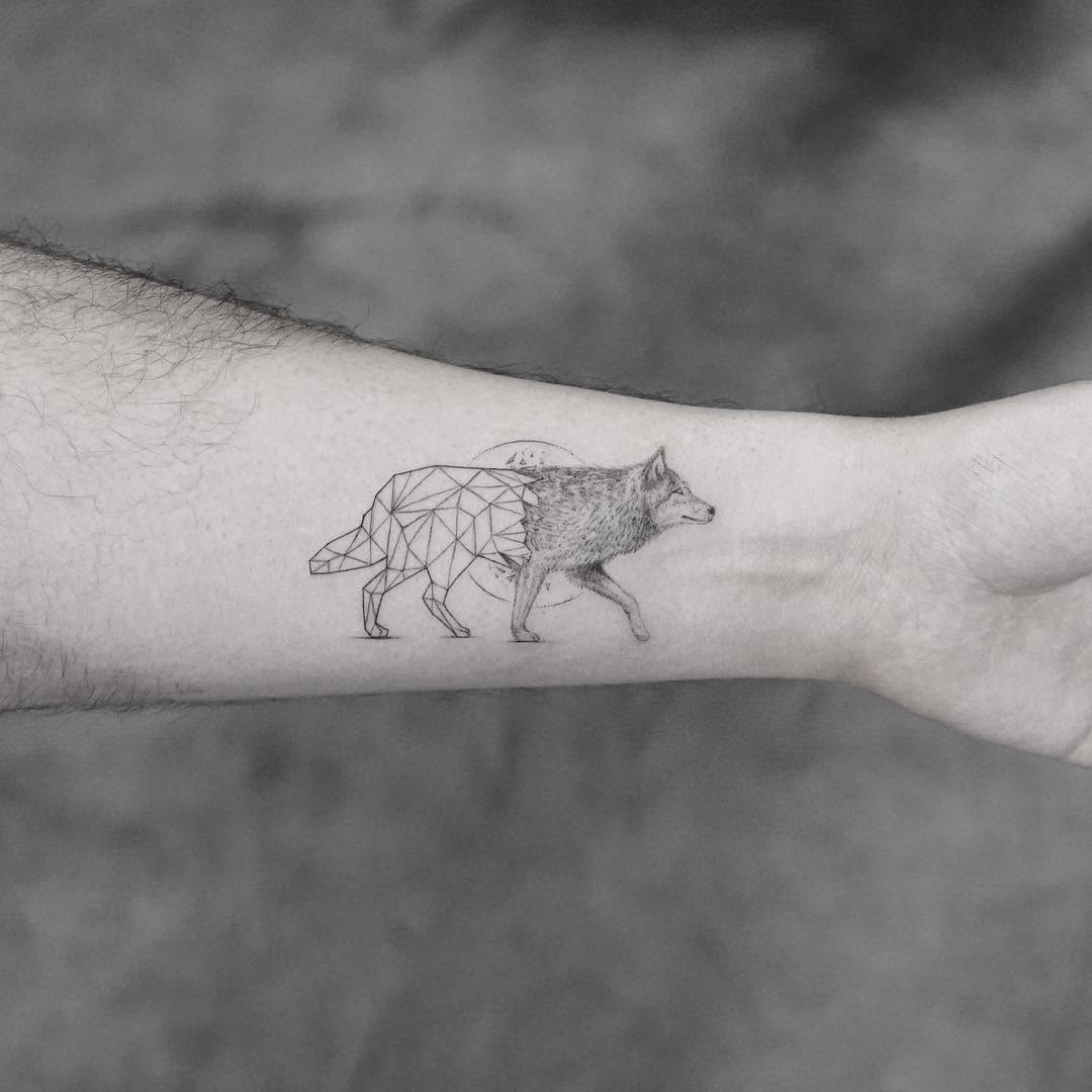 쥐, Animal, 소, 양, 돼지, 황소, 멧돼지