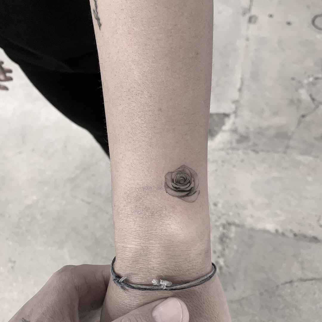 Flower, Rose