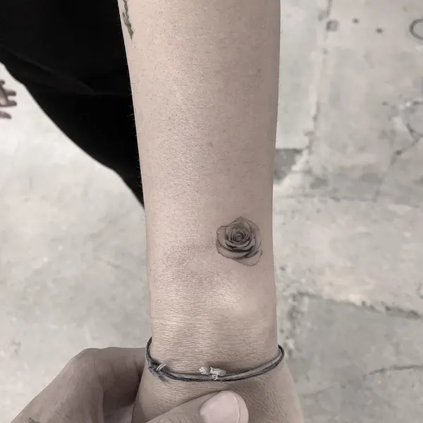 Flower, Rose