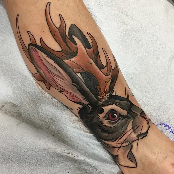 Animal