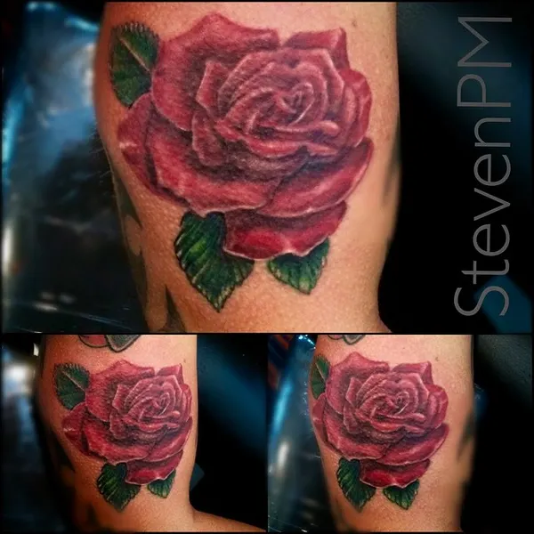 Flower, Rose