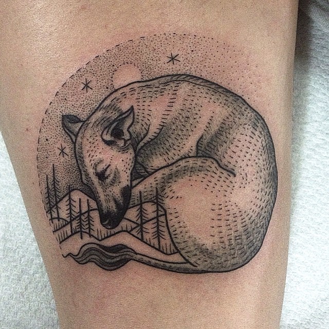 Animal
