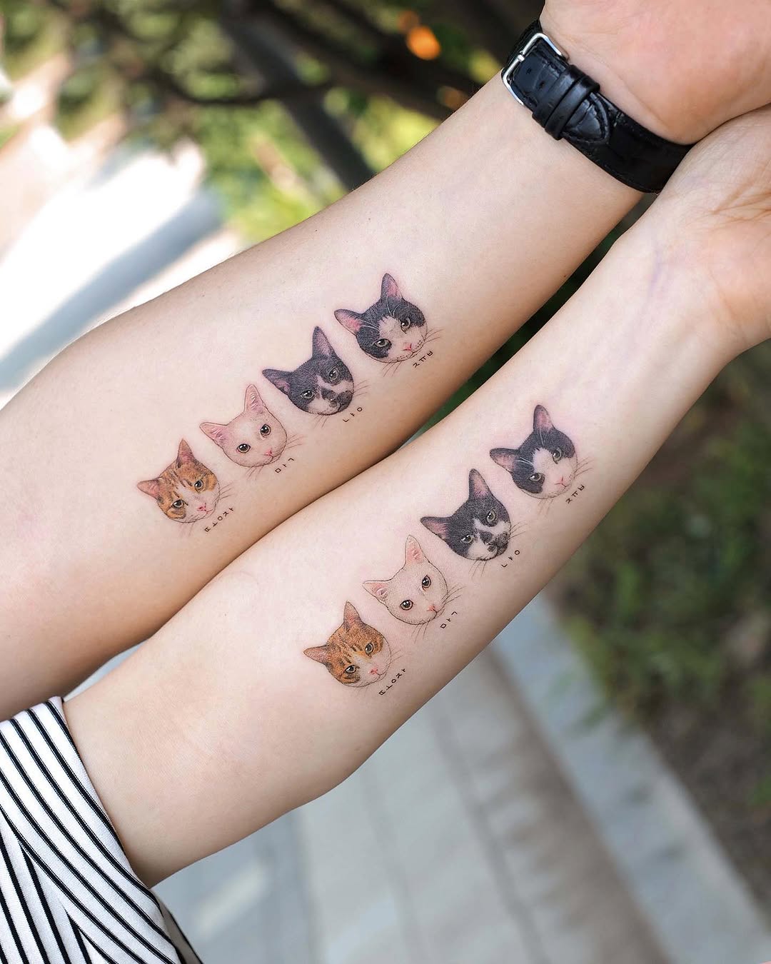 soltattoo