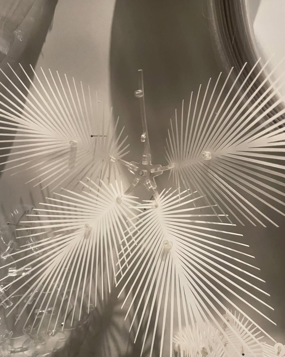 les.amours.imaginaires